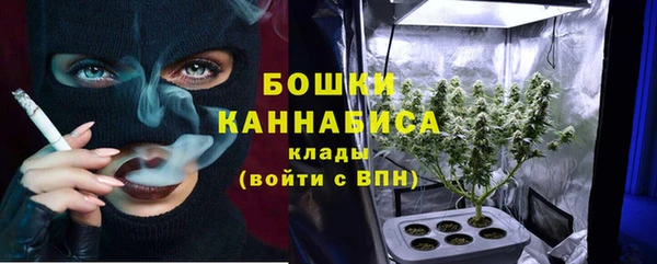 стаф Покровск