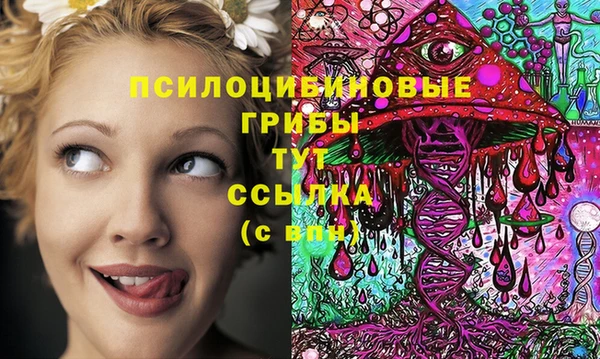 соль курить ск Протвино